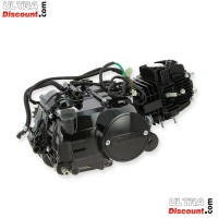 Moteur 125cc Euro3 Skyteam T-Rex (Noir) Bilder 1