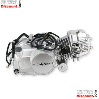 Moteur 125cc Euro5 Skyteam T-Rex Bilder 1 Moteur 125cc Euro5 Skyteam T-Rex Bilder 1