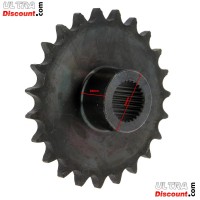 Pignon 23 Dents Pas 520 pour Quads Shineray 250ST-9C Bilder 1 Pignon 23 Dents Pas 520 pour Quads Shineray 250ST-9C Bilder 1