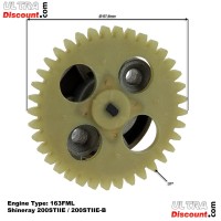 Pompe à Huile pour Quads Shineray 200STIIE - 200STIIE-B (Moteur 163FML) Bilder 1 Pompe à Huile pour Quads Shineray 200STIIE - 200STIIE-B (Moteur 163FML) Bilder 1