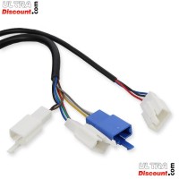 Kit poignées d'accélérateur Citycoco Shopper Bilder 1 Kit poignées d'accélérateur Citycoco Shopper Bilder 1