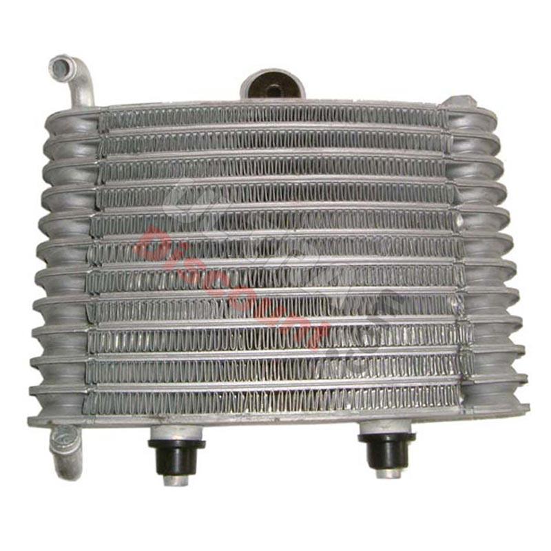 Radiateur pour polini GP3, Pièces Polini 911 GP3