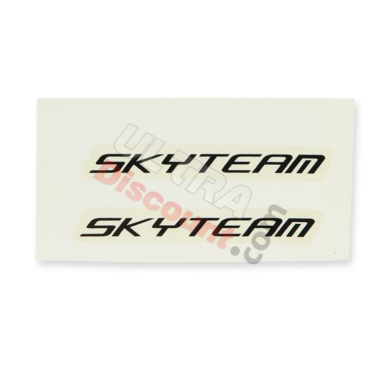 Autocollant SkyTeam x2  (blanc-noir), Pièces Dax Skymax