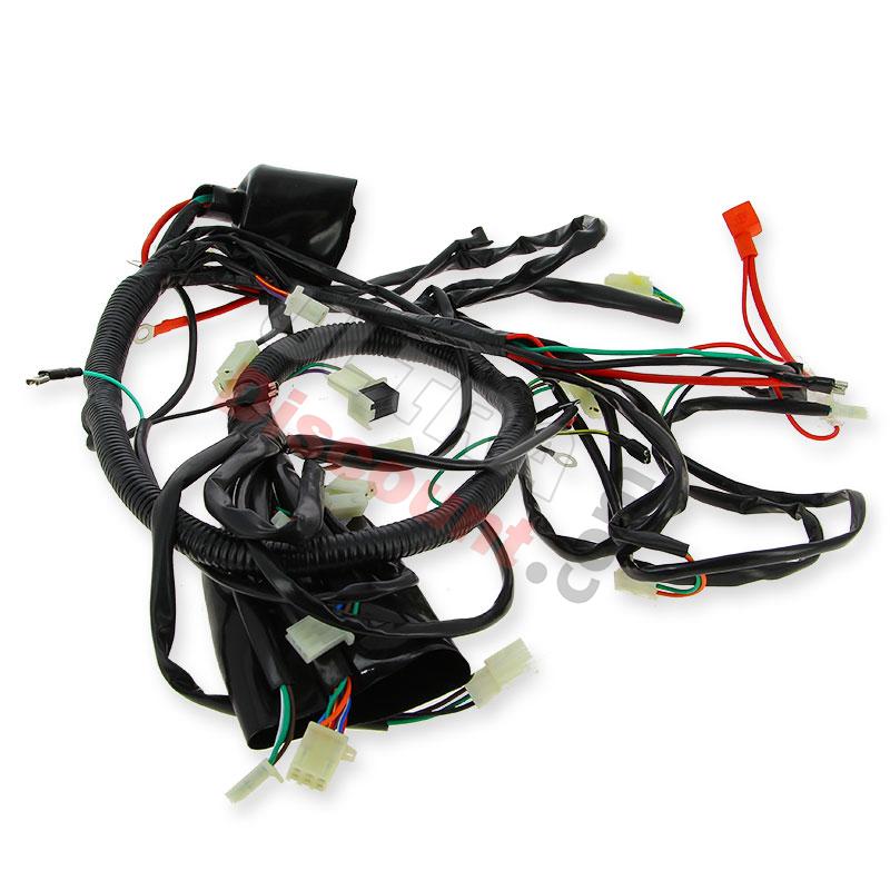 Faisceau électrique pour Quad Spy Racing 250 F1, Pièces Quad SPY250F1