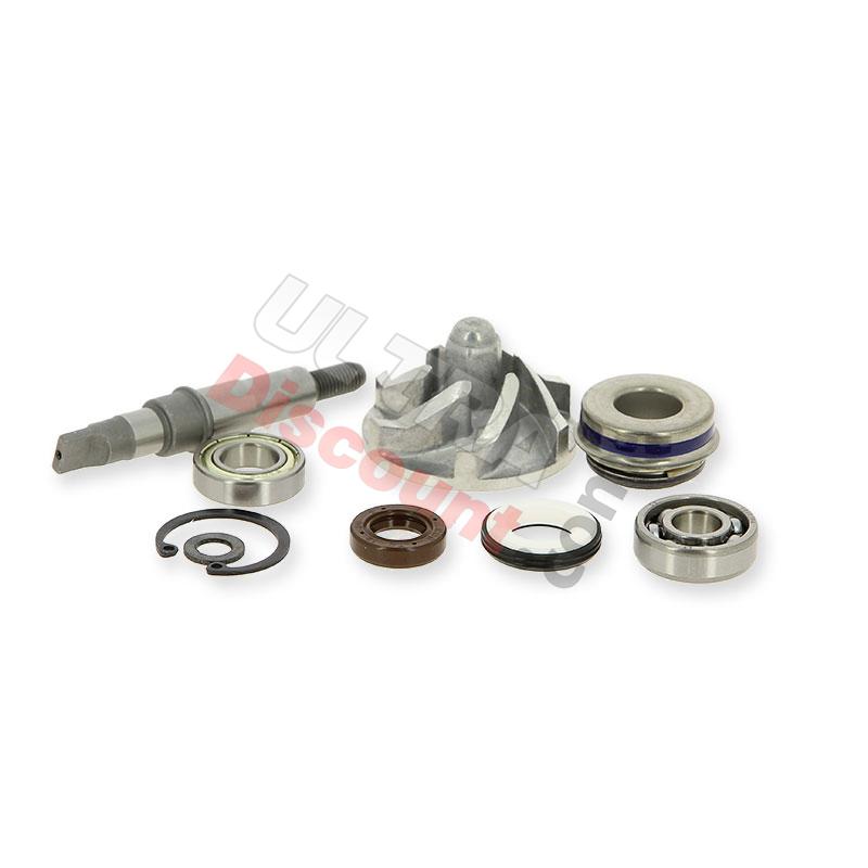 Pompe à eau pour Quad Shineray 250cc ST-9E, Pièces Shineray 250 STIXE ST9E