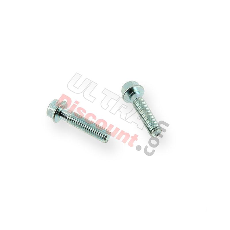 Paire de vis M6 25mm pour moteur Quads, Outillage et visserie Paire de vis M6 25mm pour moteur Quads, Outillage et visserie
