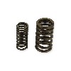 Ressorts de Soupape pour Quad Spy Racing 250 F1, Pièces Quad SPY250F1