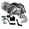 Moteur 125cc Euro5 Skyteam T-Rex, Pièces Trex Skyteam