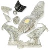 Carénage CARBONE Spéciale Edition pour Pocket MT4 (Blanc), Pièces Pocket Blata MT4