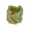 Pignon en Plastique pour Lanceur de Pocket Bike, Pièces Pocket Bike