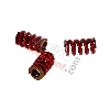 Ressorts Durs pour Embrayages 3 Branches pour Pocket Bike Polini 911 - GP3 (Rouge), Pièces Polini 911 GP3