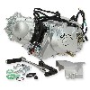Moteur EURO4 Skyteam Monkey Gorilla 50cc, Pièces Skymini Monkey - Gorilla