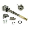 Axe de Kick Complet pour pour moteur 50cc pour Dax Skyteam, Pièces Dax Skymax