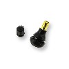 Valve pour pneu Tubeless, Pièces Shineray 200 ST6A