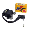 Allumage pocket quad avec antiparasite NGK, Pieces pocket quad