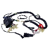 Faisceau électrique pour Quad Shineray 300cc STE, Pièces Shineray 300cc