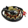 Stator pour Scooter Chinois 125cc (type 2), Pièces scooter chinois
