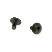 2 Vis de carénage M6x10 pour quad Shineray 250 ST5