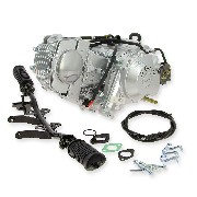 Moteur 125cc Euro3 Skyteam T-Rex