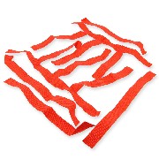 Paire de Filets de Marche Pieds rouges pour SBashan BS250AS-43