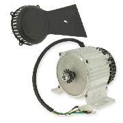 moteur 36V 1060W pour Pocket Bike Nitro tribo