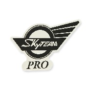 Autocollant SkyTeam Pro pour réservoir Skymini (gauche)