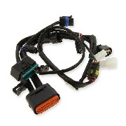 Cable de connexion 1 pour Unité de commande pour Dax Skyteam EURO5 - NOUVELLE VERSION