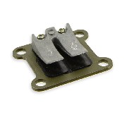 Clapet pocket bike avec lamelle carbon