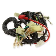 Faisceau électrique pour PBR 110cc