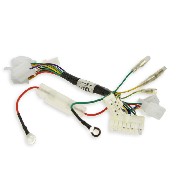 Faisceau Électrique pour scooter mini citycoco