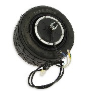 Roue Arrière complète pour Mini Citycoco 1000w 10x6.00-6