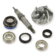 Kit révision pompe à eau Quad Bashan 250cc (BS250S-11)
