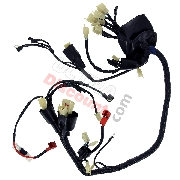 Faisceau Électrique pour Quads Shineray 200STIIE-B