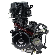 Moteur 250cc pour quad Shineray 250cc STXE 167FMM