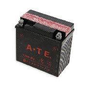 Batterie pour Quad Bashan 200cc (BS200S-7)