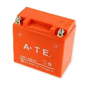 Batterie pour Quad Bashan 250cc (BS250AS-43)