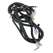 Faisceau électrique pour Quad Bashan 300cc (BS300S-18)