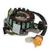 Stator complet pour quad Bashan 300cc (BS300S-18)