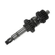 Pignonerie de boite a vitesse Quad Bashan 300cc BS300S-18 (type 1)