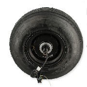 Roue Arrière complète pour Citycoco 1500w