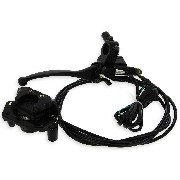 Frein arrière complet pour CityCoco