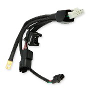 Cable de connexion 1 pour Unité de commande pour Dax Skymax 50-125cc EURO4