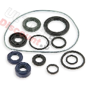 Pochette de joints huile pour Moteurs 125cc pour PBR Skyteam
