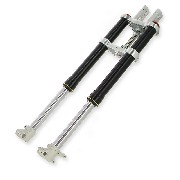 Fourche dirt bike complète ( 735 mm )