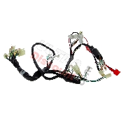 Faisceau Électrique 36610-16H02 pour Monkey 50cc ou 125cc (Après 10-2015)