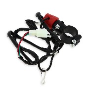 Coupe circuit à arrachement pour pocket bike polini