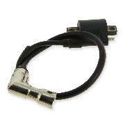 Bobine d'allumage quad Spy Racing 250F1