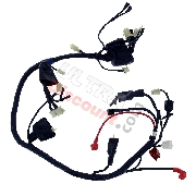 Faisceau Électrique pour Quads Shineray 200ST-9