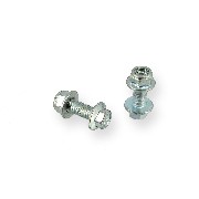 Paire de vis M8 20mm pour Quads Bigfoot