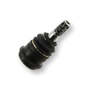 Rotule de suspension infèrieure pour Quad Shineray 200cc ST9